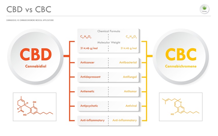 CBD vs CBC, Cannabidiol vs Cannabichromene minh họa ngang về cần sa